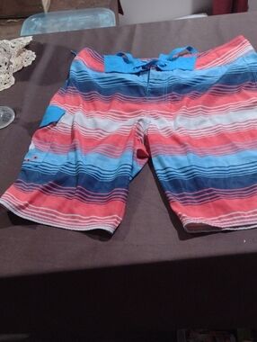Men's Red and Blue Striped Hybrid Swim Shorts